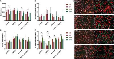 Differential Expression of Insulin-Like Growth Factor 1 and Wnt Family Member 4 Correlates With Functional Heterogeneity of Human Dermal Fibroblasts